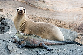 ECUADOR & THE GALAPAGOS